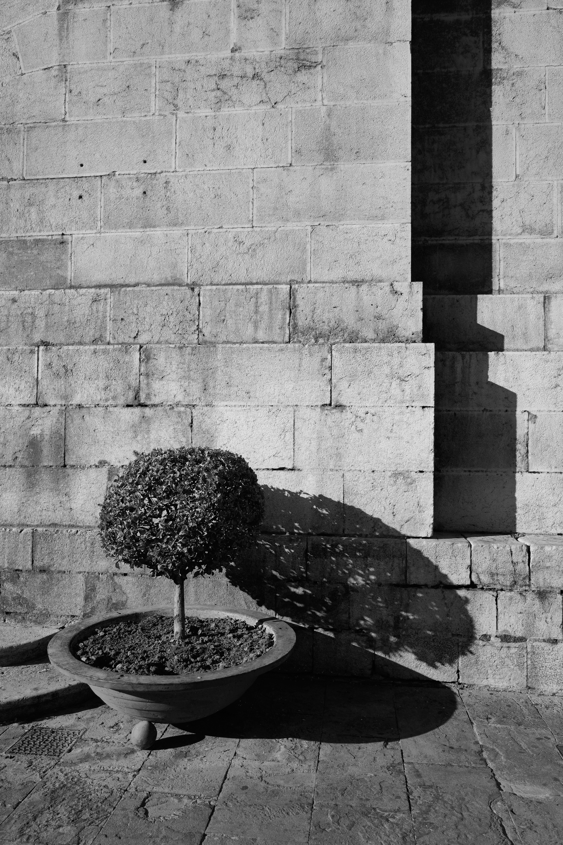 2026-06. EXPOSICIÓN LUZ HEREDADA. CENTRO DE ARTE CONTEMPORANEO. TORREBLASCOPEDRO